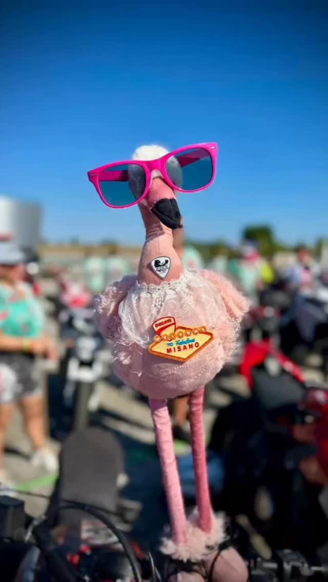 New WDW-Outfits for #docregensburg
🔜 ❤️‍🔥❤️‍🔥❤️‍🔥

#wdw2026 #wdw2026doc #worldducatiweek #ducati